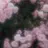 あやか