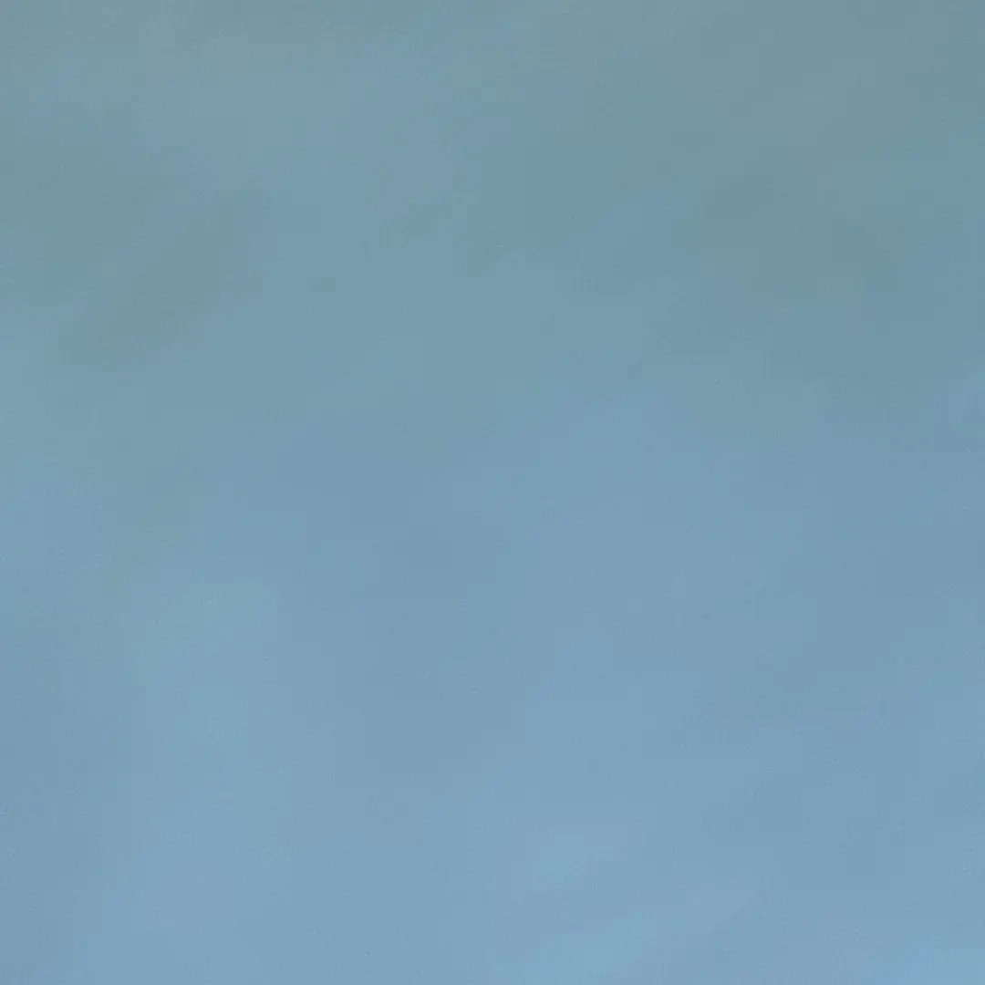 PromptGems9626의 당신의 생일을 귀살대원과 보내요!