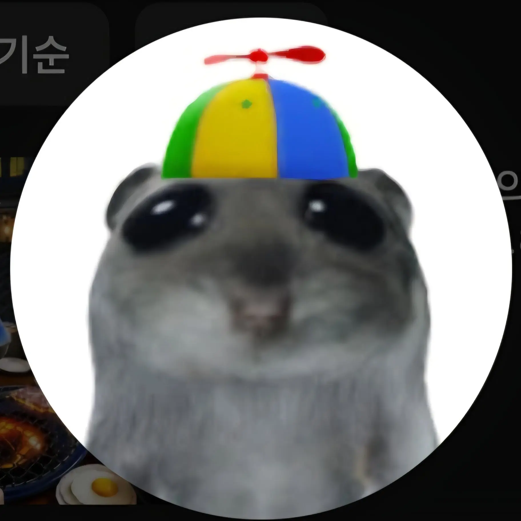 pjmgkd의 고고프렌즈 햄토리 합방
