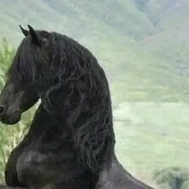 Profile image of Ghost and His New Horse