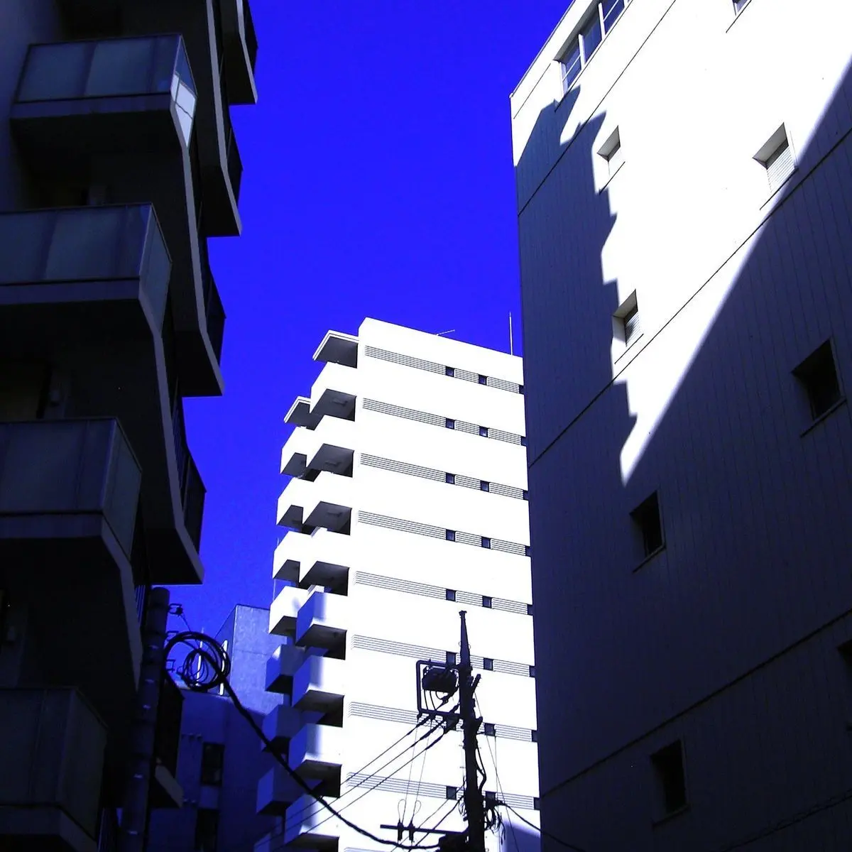 Kamisamas의 ㅤ