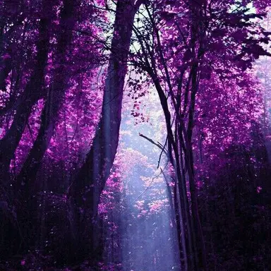 Profile image of 황수현