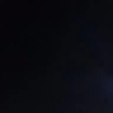 Profile image of リオ