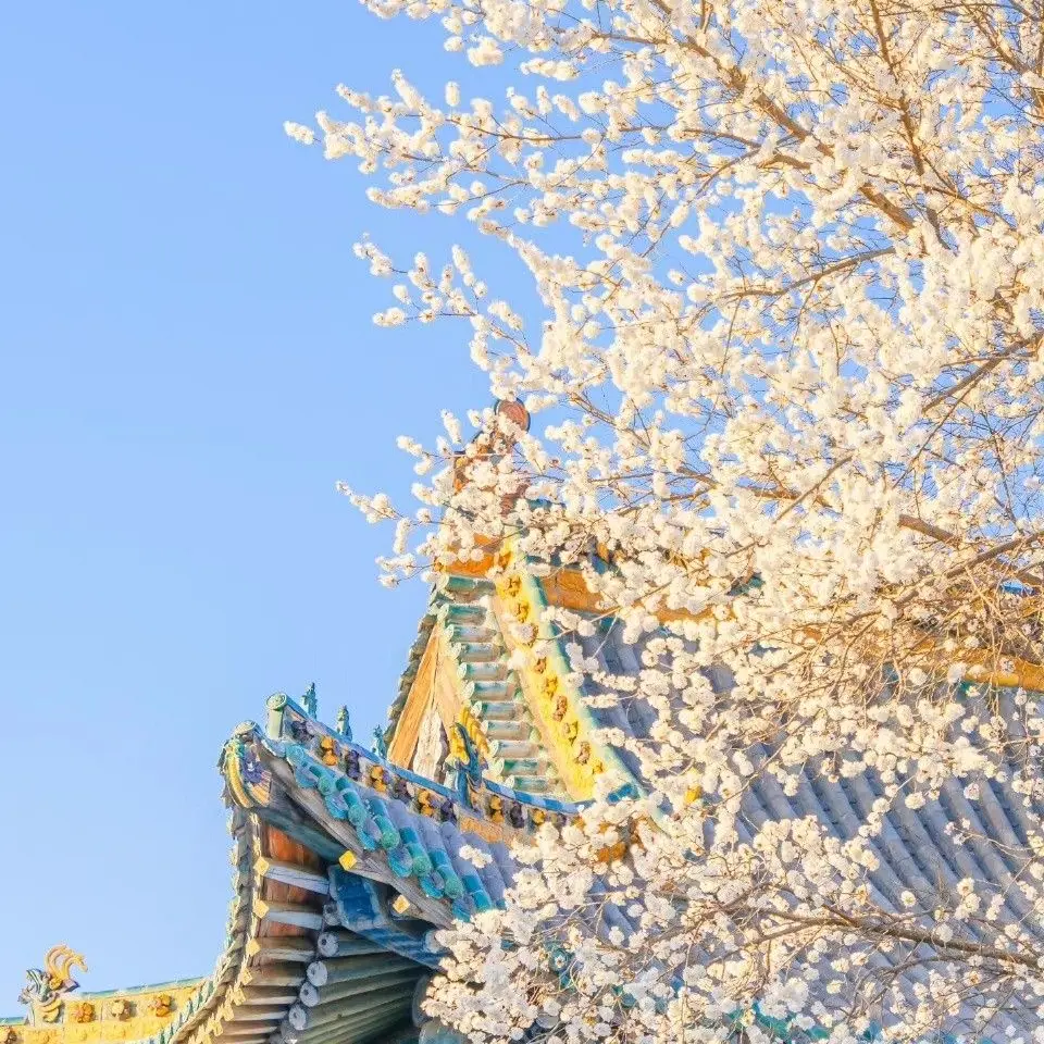 .__poituy의 청선