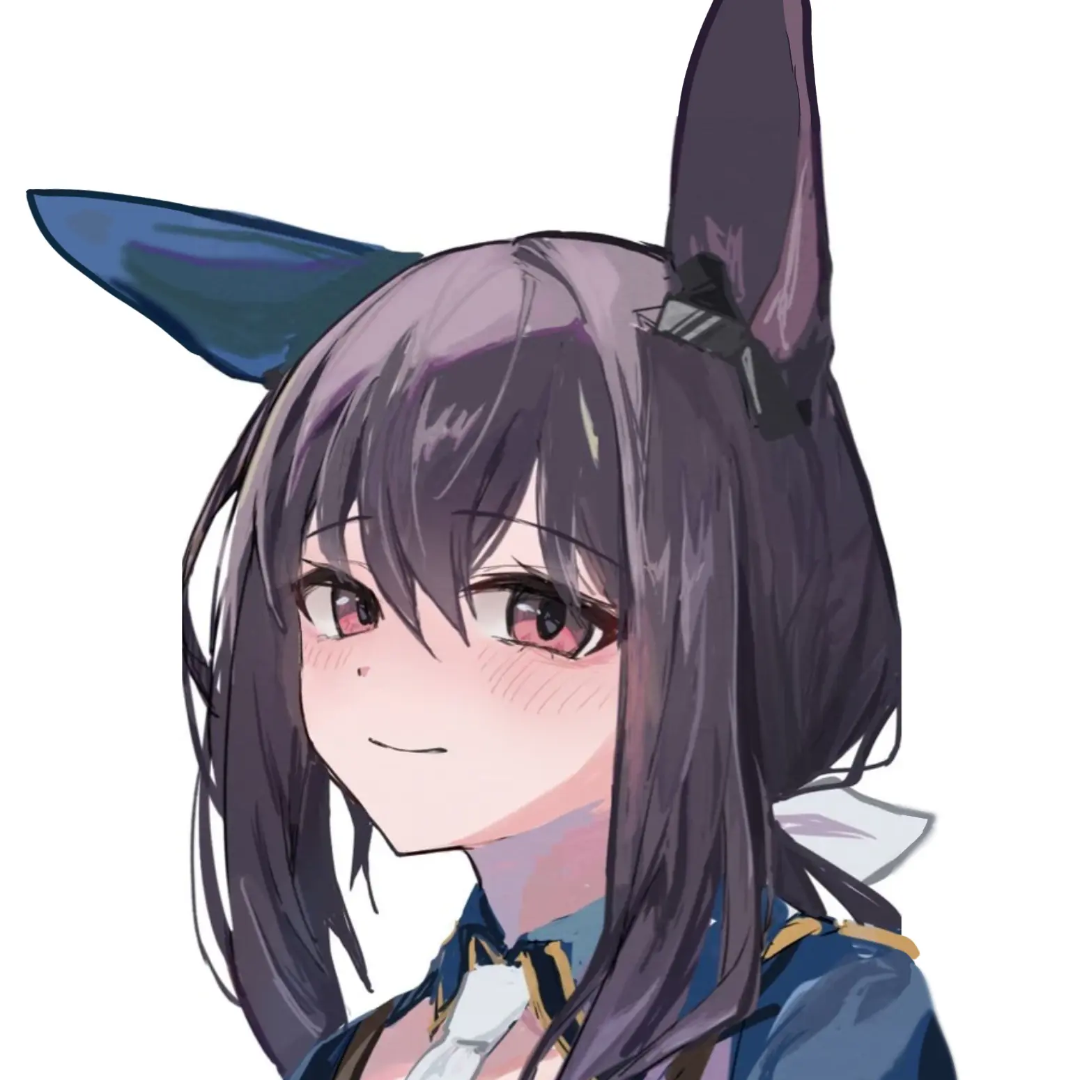 N329A1의 『어드마이어 베가, 영원히 함께』