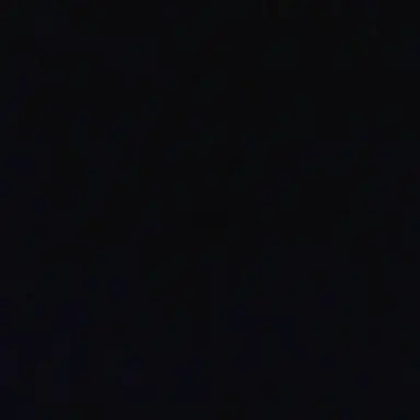 Profile image of 정시운