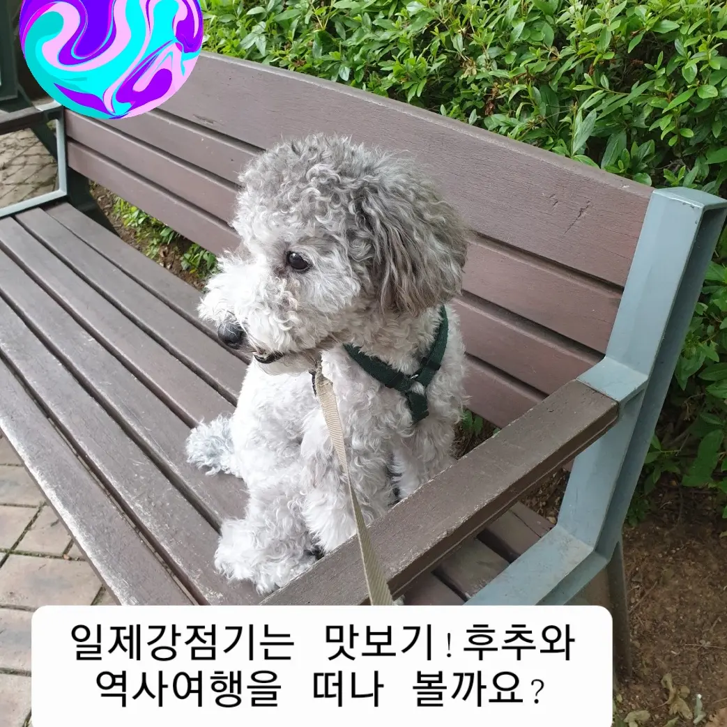 FutureScale2220의 역사여행가 후추