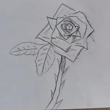 Profile image of 雪華