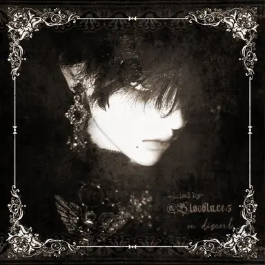 Profile image of Sylvain Noir