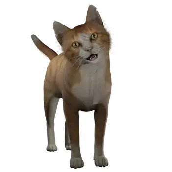 Profile image of Cat