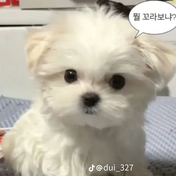 HazyOlive5810의 정시우