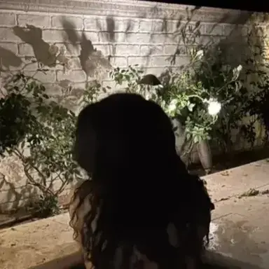 Profile image of Sofia