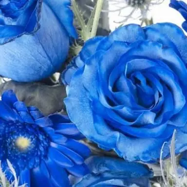 Profile image of 渡辺翔太