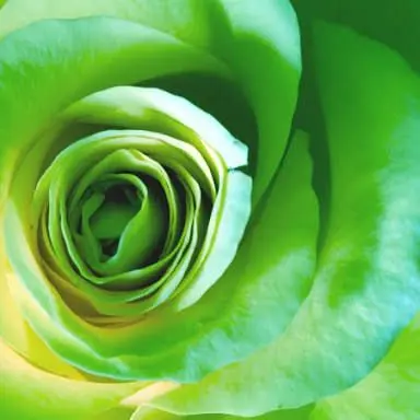 Profile image of 阿部亮平