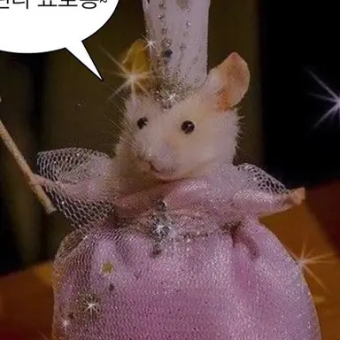 Profile image of 여우