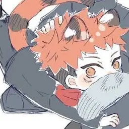 Profile image of 虎杖悠仁