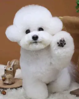 Profile image of 구름이