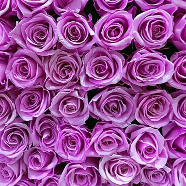 Profile image of 三郎