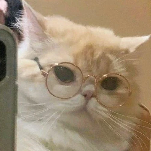 리레볼루션
