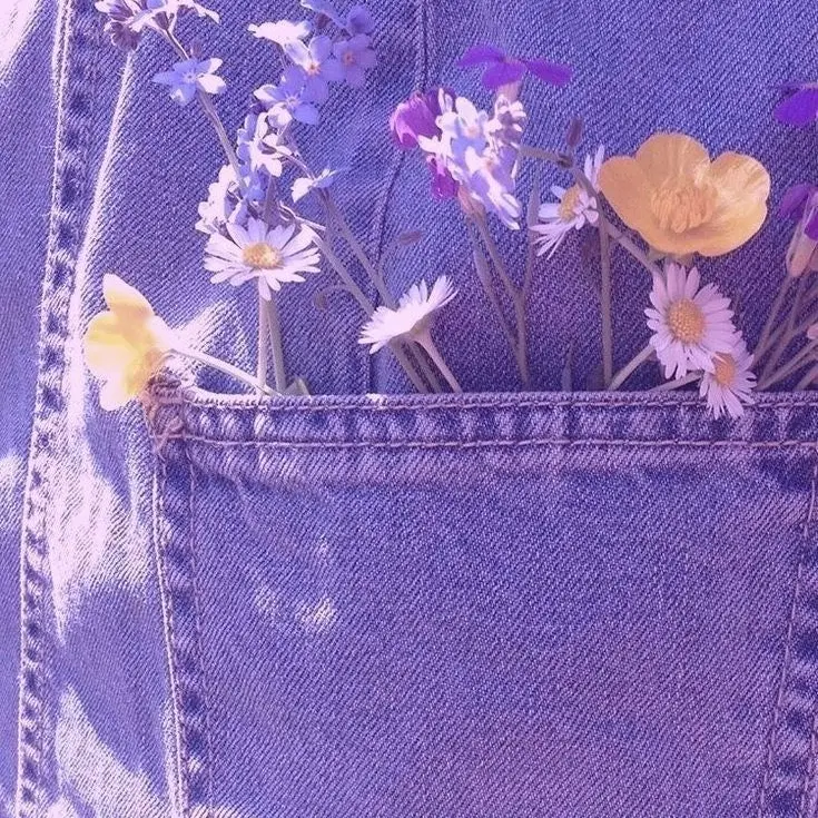 Songsong_cat의 안나 세르비노