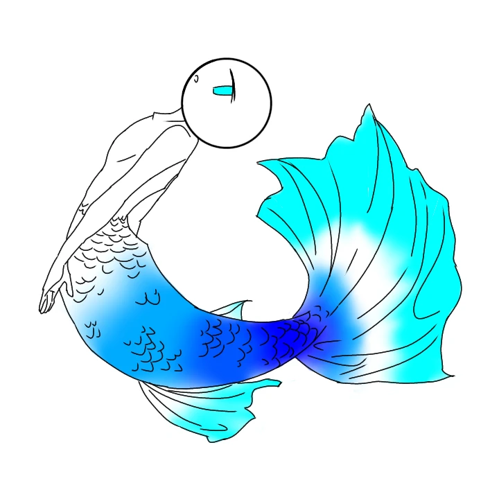 海