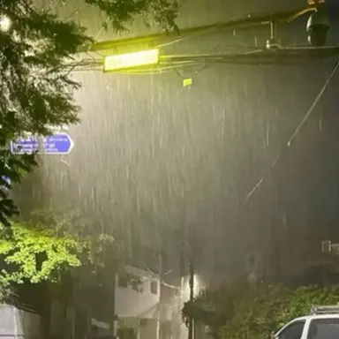 Profile image of 강이도