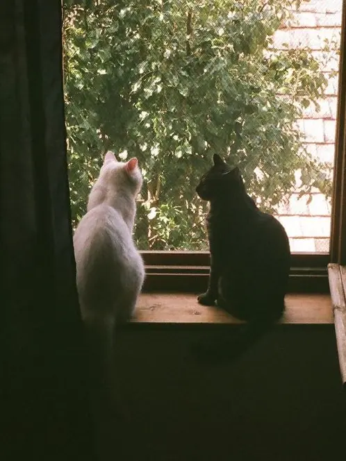 Myday._.170607의 강영현