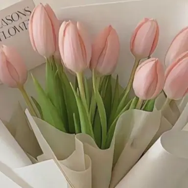 Profile image of 아테노도라