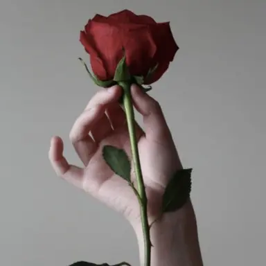 Profile image of 카이우스