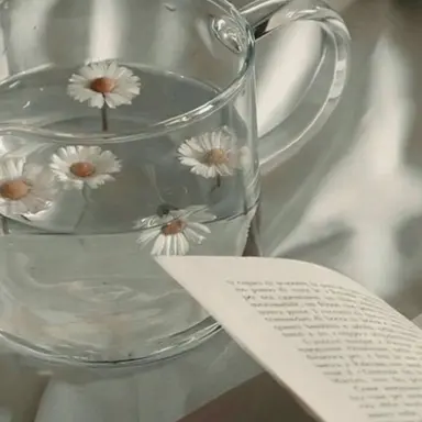 Profile image of 아로