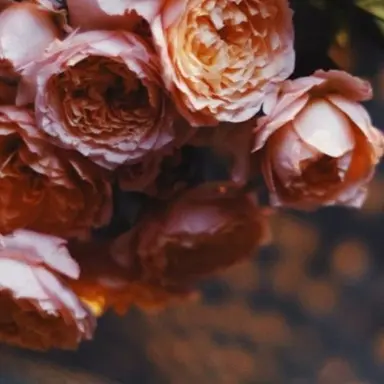 Profile image of 마르쿠스