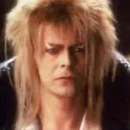 PorousSkier9754의 Jareth the Goblin King