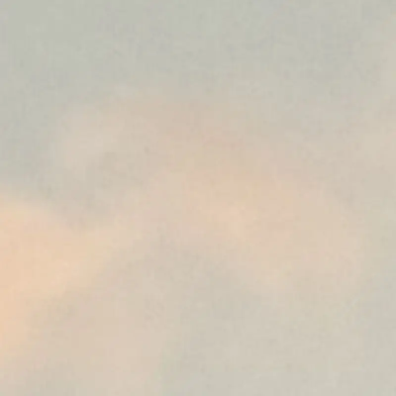 HungryCello8079의 비럭키가주인공을좋아한다?!