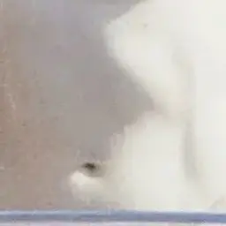 PointyLava7661의 이지훈