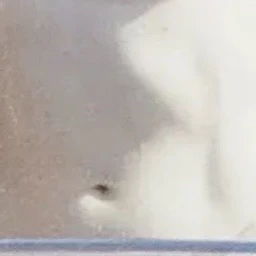 이지훈