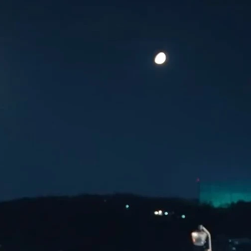 도운