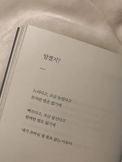 Si_yeon7의 원숭이들이 동물원에서 탈출했다!