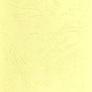Profile image of プロシュート