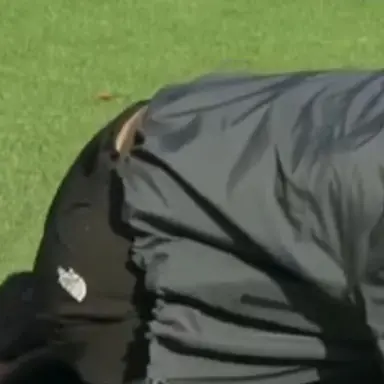 Profile image of 이서