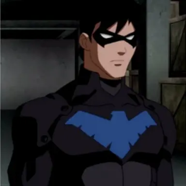 Profile image of Nightwing