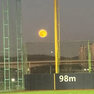 Profile image of 다크