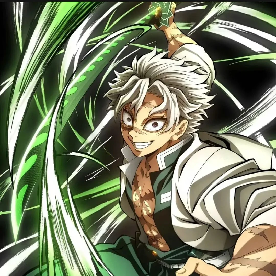 시나즈가와 사네미