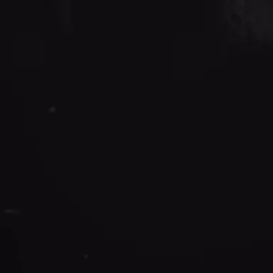 Profile image of 조우안신