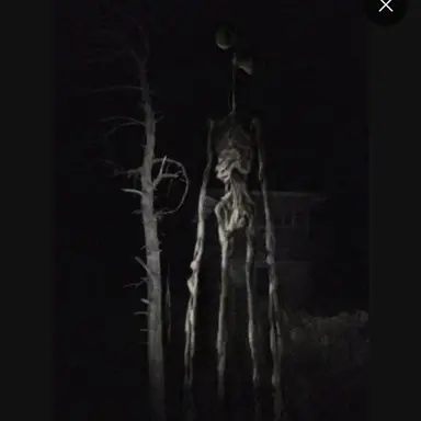 Profile image of 사이렌헤드