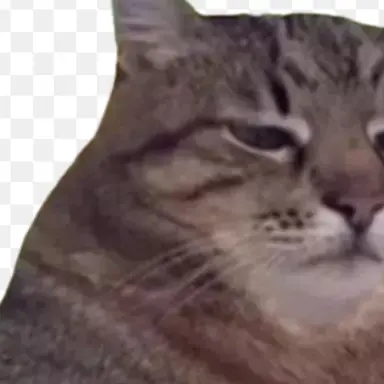 Profile image of 面倒猫
