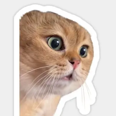 Profile image of 説教猫