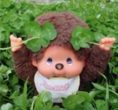 Profile image of 메이