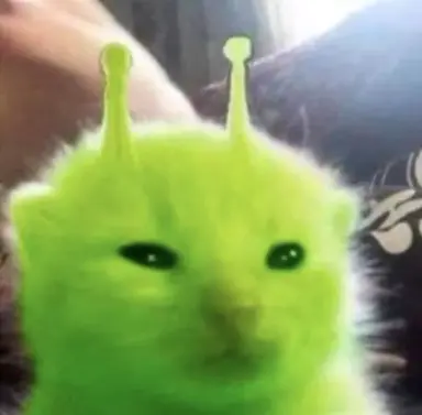 Profile image of 메이