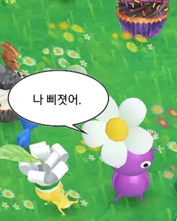 Profile image of 메이