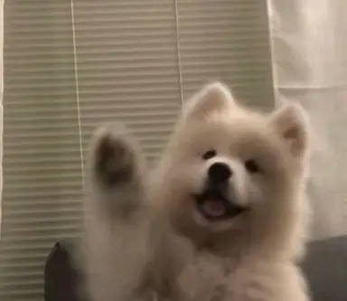 Profile image of 신라 공주